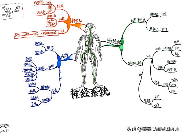 初一生物上册知识点总结，初一生物上册知识点总结思维导图？