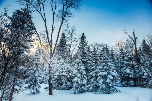 下雪了日记二年级，下雪了日记二年级50字？