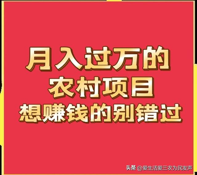 适合乡镇创业项目，适合乡镇创业项目有哪些。