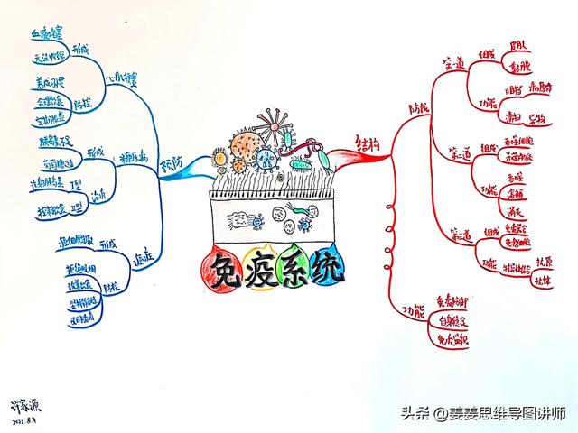 初一生物上册知识点总结，初一生物上册知识点总结思维导图？