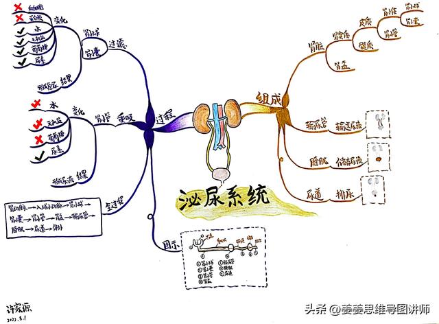 初一生物上册知识点总结，初一生物上册知识点总结思维导图？