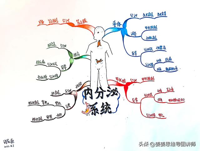 初一生物上册知识点总结，初一生物上册知识点总结思维导图？