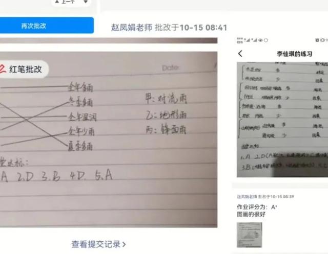 网课学科分析怎么写，学科课程分析。