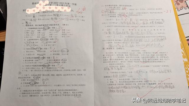 泰州小考成绩查询时间，泰州小考成绩查询时间2021年？