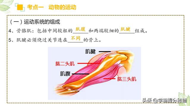 初二生物必考重点知识，初二生物必考重点知识2022？