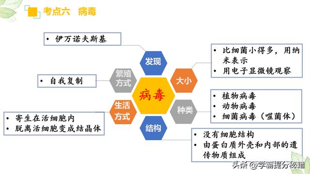 初二生物必考重点知识，初二生物必考重点知识2022？