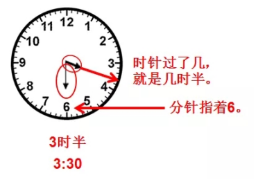 一年级北师大版数学知识点归纳总结，北师大版一年级上册数学认识钟表知识点？